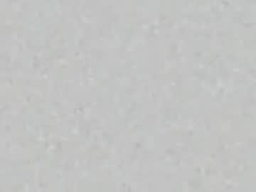 Sabrina Strip webcam from United States